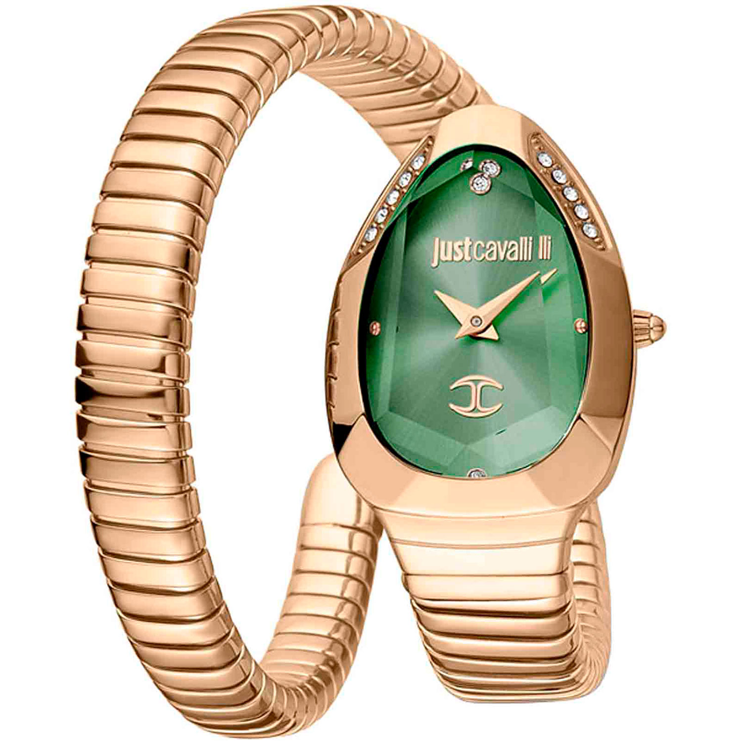 Часы Just Cavalli Snake JC1L208M0055